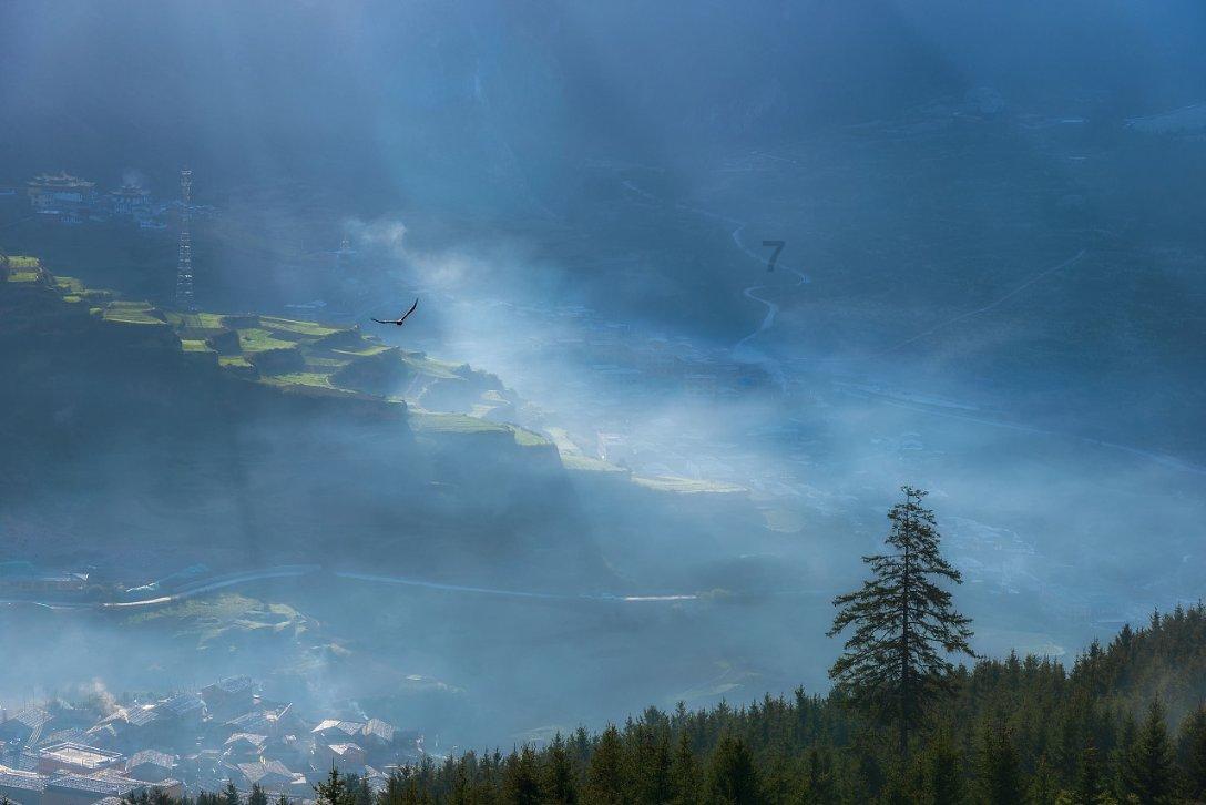 英雄悟空