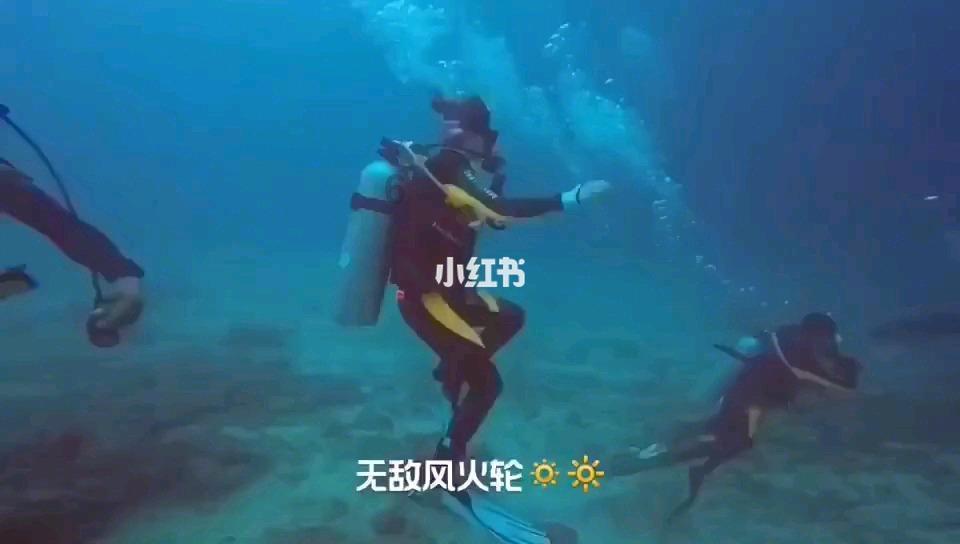 小动物保护协会进入猴山内部搜寻,昆明动物园两只猫暂未被找到