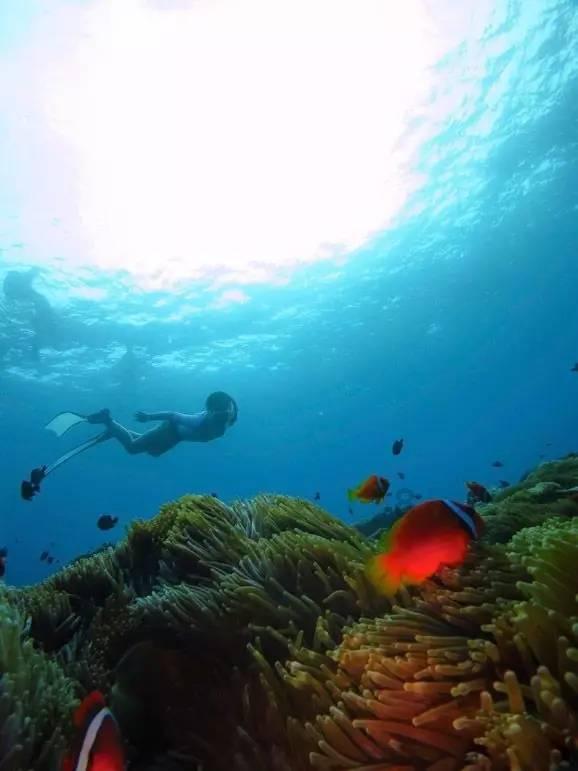 美食、特产、文创好礼集中推介 承德冰雪温泉旅游季精彩不断