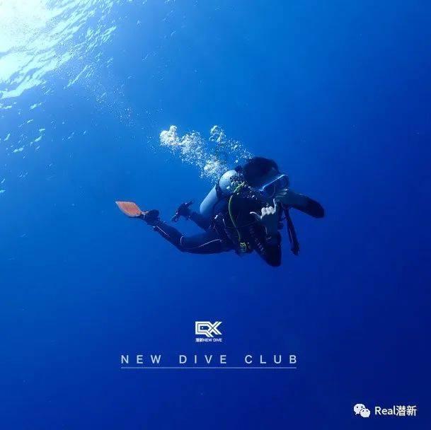 召唤神龙万宁版祖龙