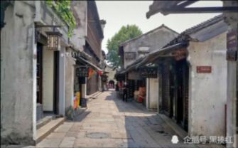 小艾比当营养师